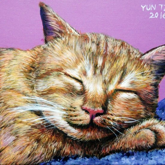A Sleeping Cat with Satisfied Smile / linen-like canvas / 4F / acrylic