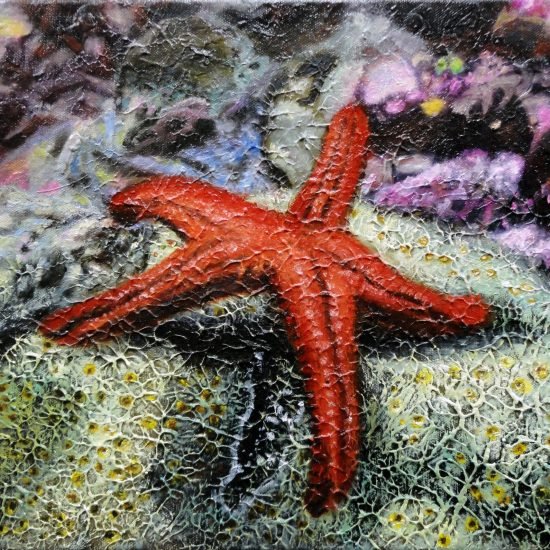 Texture Practice: Starfish and Coral / linen-like canvas / 6P / oil paint, gesso